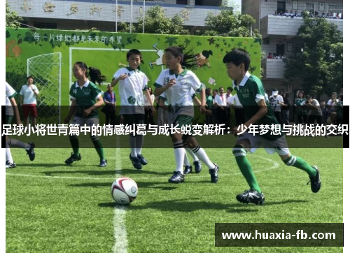足球小将世青篇中的情感纠葛与成长蜕变解析:少年梦想与挑战的交织