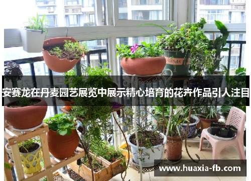 安赛龙在丹麦园艺展览中展示精心培育的花卉作品引人注目 安赛龙在丹麦园艺展览中展示精心培育的花卉作品引人注目