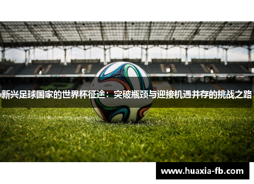新兴足球国家的世界杯征途：突破瓶颈与迎接机遇并存的挑战之路