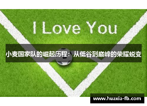 小麦国家队的崛起历程：从低谷到巅峰的荣耀蜕变