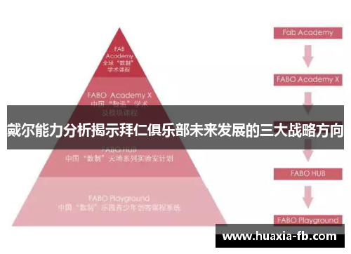 戴尔能力分析揭示拜仁俱乐部未来发展的三大战略方向