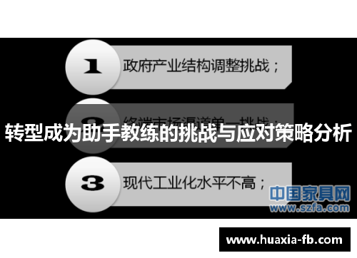 转型成为助手教练的挑战与应对策略分析