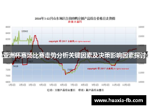 亚洲杯赛场比赛走势分析关键因素及决策影响因素探讨