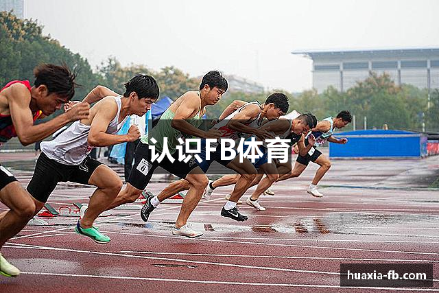 认识FB体育